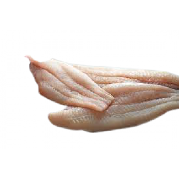 Fresh Catfish/Etta Koori Fillet Boneless - 1Kg