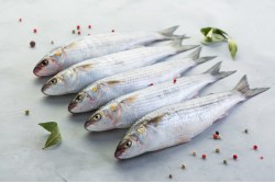 Frozen Grey Mullet Whole Large - Per 1Kg