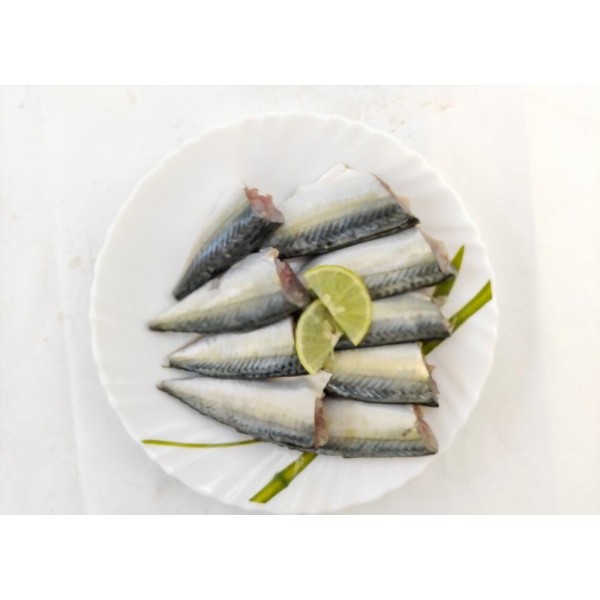Fresh Mackerel Small / الماكريل الطازج