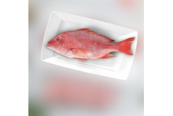 Fresh Red Snapper Whole Cleaned  - Per 1Kg 