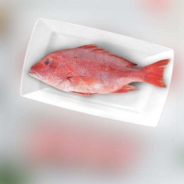 Fresh Red Snapper Whole Cleaned - 1Kg