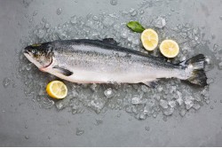 Norway Fresh Salmon Sushi Grade whole 2-3 Kg size - Per PKg