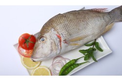 Fresh Sheri (Emperor Fish) Whole Cleaned Large 5/1- Per 1Kg 