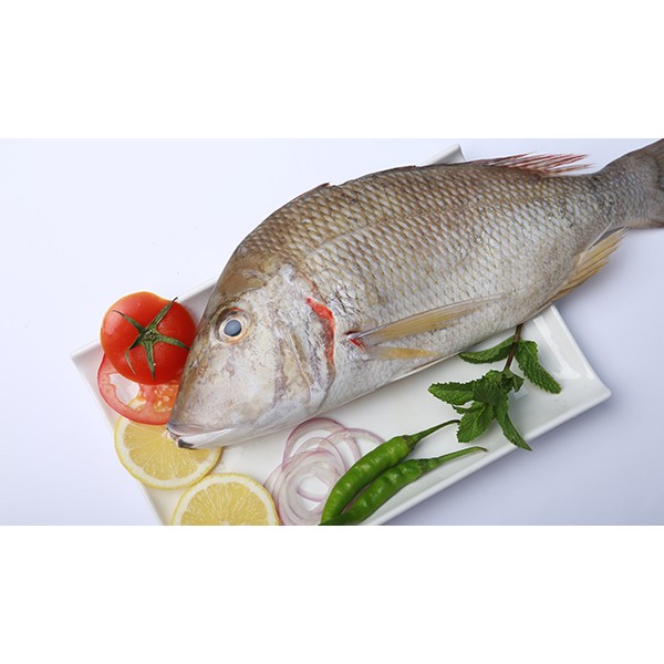 Fresh Sheri (Emperor Fish) Whole Cleaned Medium (200 - 400Gm)- Per 1Kg