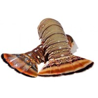 Frozen/Lobster/Tail/Large - Per 1Kg