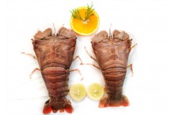 Frozen Sand Lobster Whole Medium - Per 1Kg 