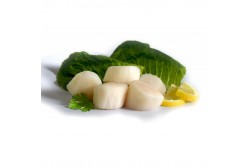 Scallops King Roe off Small Size - Per 1Kg 