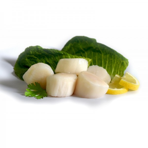 Frozen Scallops Small - Per 1Kg
