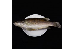 Fresh Barramundi Whole Cleaned - Per 1Kg