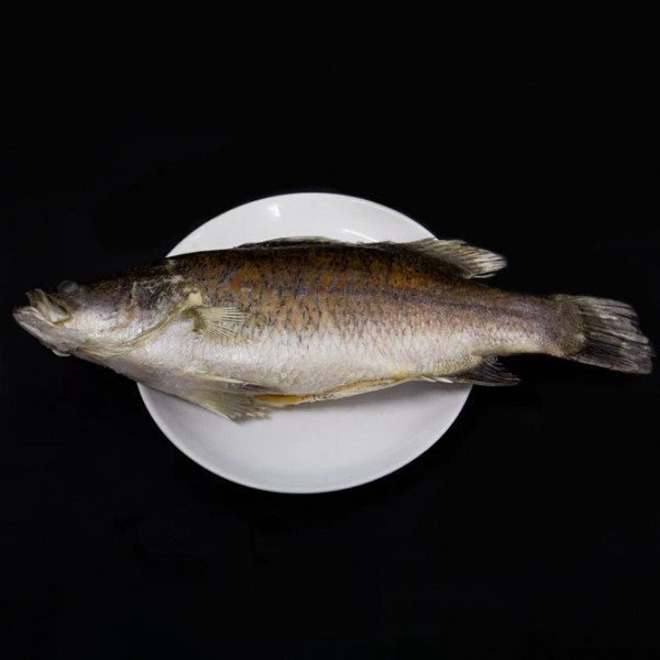 Fresh Barramundi