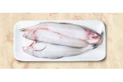 Fresh Bombay Duck Fish Whole - Per 500Gm