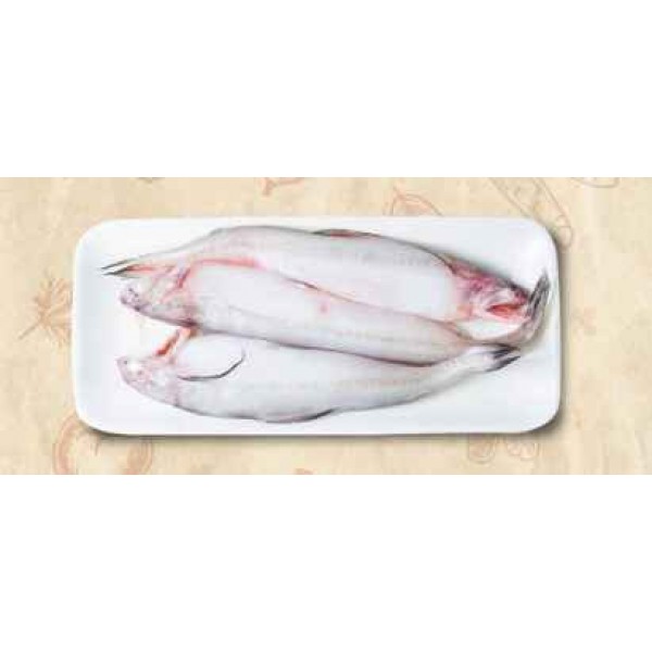 Fresh Bombay Duck Fish Whole - Per 500Gm