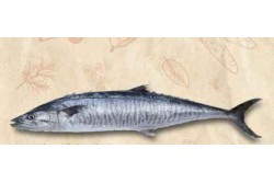 Fresh King Fish Whole Large - Per 1Kg 