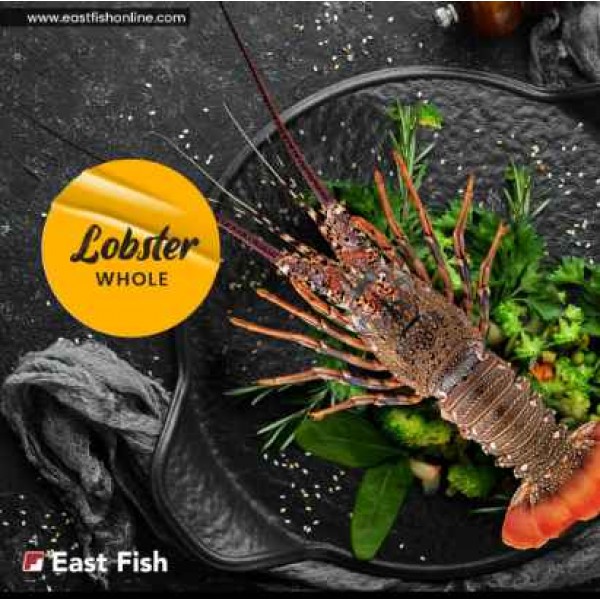 Fresh Lobster Whole Jumbo - Per 1Kg