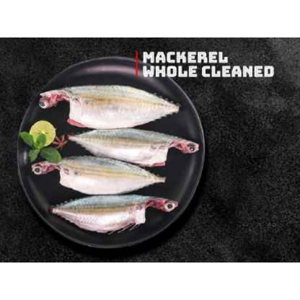 Fresh Mackerel Medium Whole Cleaned - 500Gm