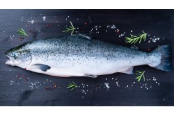 Fresh Organic Salmon Whole Sushi Grade - Per PC