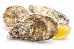 Fresh Oyster Small With Shell ( 10pcs in One Box) - Per Box