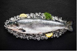 Fresh Salmon Sushi Grade whole Medium 2-3 Kg size - Per PC