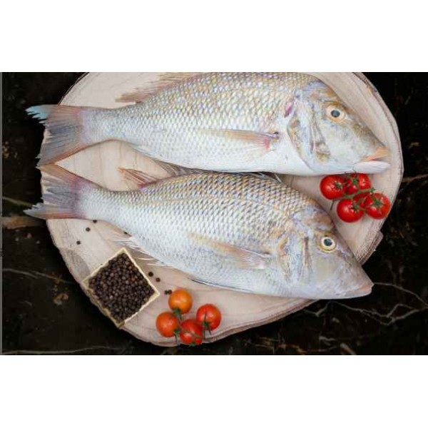 Fresh Sheri (Emperor Fish) Whole Medium (200 - 400Gm) - 500Gm