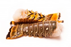 Frozen Lobster Tail Jumbo Size - Per 1Kg 