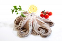 Frozen Large Octopus Whole Cleaned - Per Kg