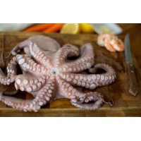 Octopus Whole Cleaned Small Frozen- Per 1Kg