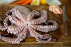 Frozen Small Octopus Whole Cleaned - Per Kg