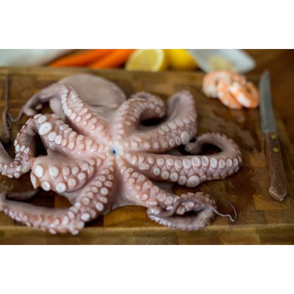 Octopus Whole Cleaned Small Frozen- Per 1Kg