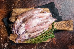 Frozen Squid Whole Extra Large Size (2Kg in 1 Block) - Per 1 Block