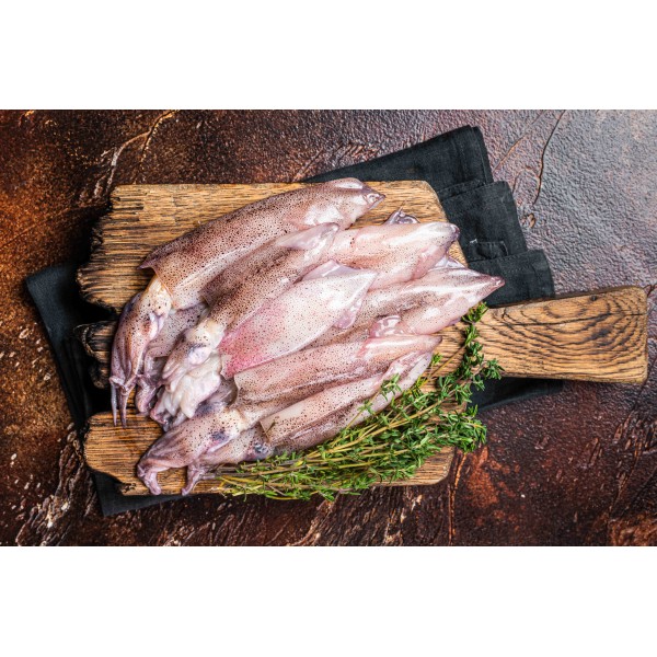 Frozen Squid Whole Extra Large - 1 Block