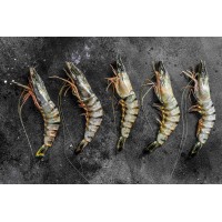 Frozen Tiger Shrimp Extra Large India - 1Kg