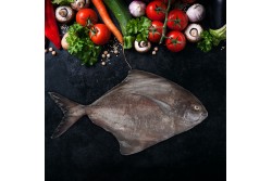 Frozen Black Pomfret Whole - Per 1Kg
