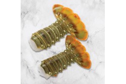 Tail Large Size - 1Kg Pack